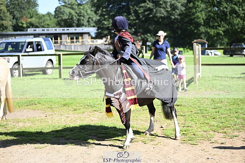 240728B-094339-00090 - Sunday Stable Shots and Fancy Dress