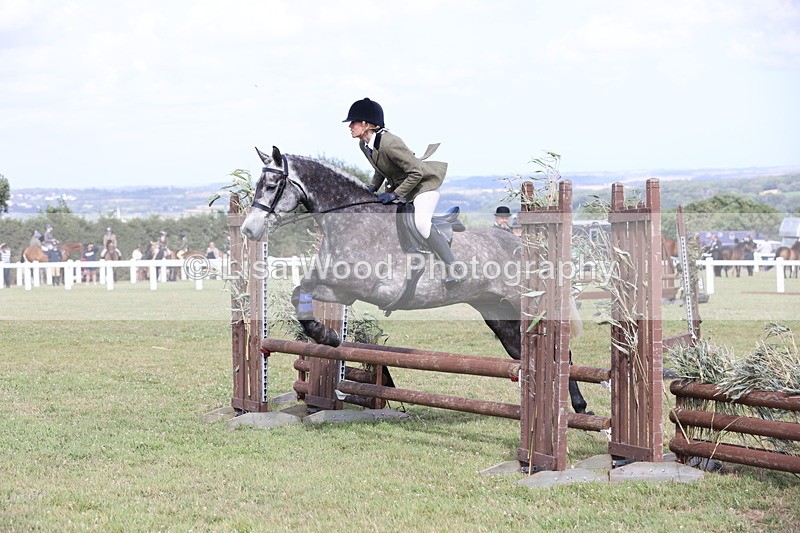 JPP_2594 - Class 20: Working Hunter 70cm