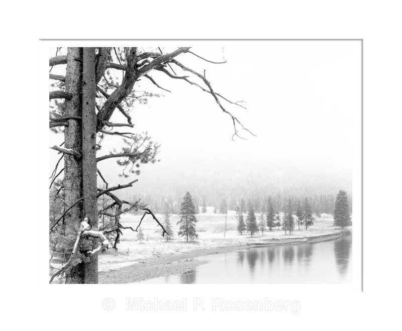 - Yellowstone and Grand Tetons