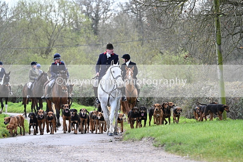 WJ7_9774 - Walk Home