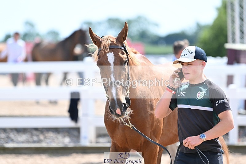 240717A-145914-02403 - Trot Up 2pm to 3pm - This folder is not in time order