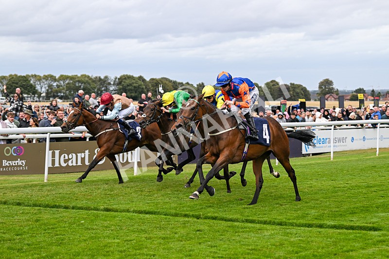 250824-Race 3-Blueandtangerine-3251 - Race 3