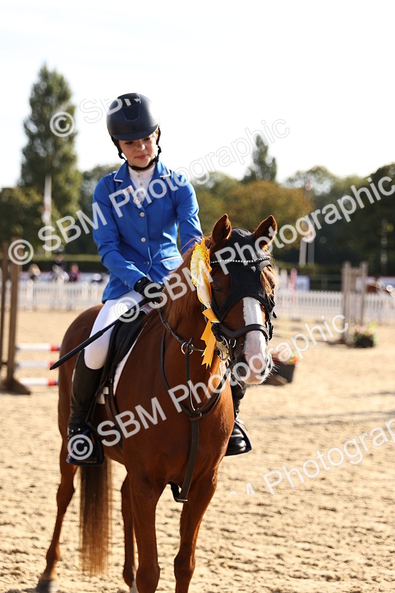 SBM_59763 - J11 - Junior Pony 50cm Championship