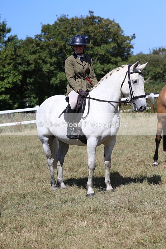 3E7A6458 - Working Hunter Championship