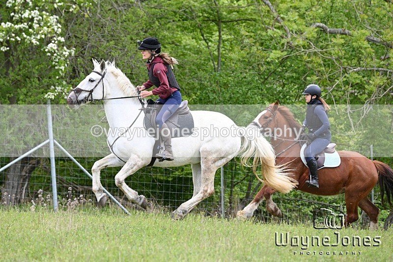 WJ6_1564 - Edited Examples