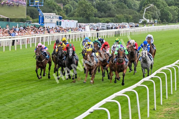 260725-Race 6-Billyb-0789 - Race 6 4.25pm Sky Bet Go-Racing-In-Yorkshire Summer Festival Handicap