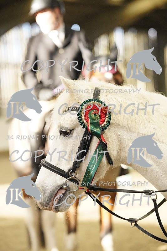 _DSC3225 - Class 4 50cm