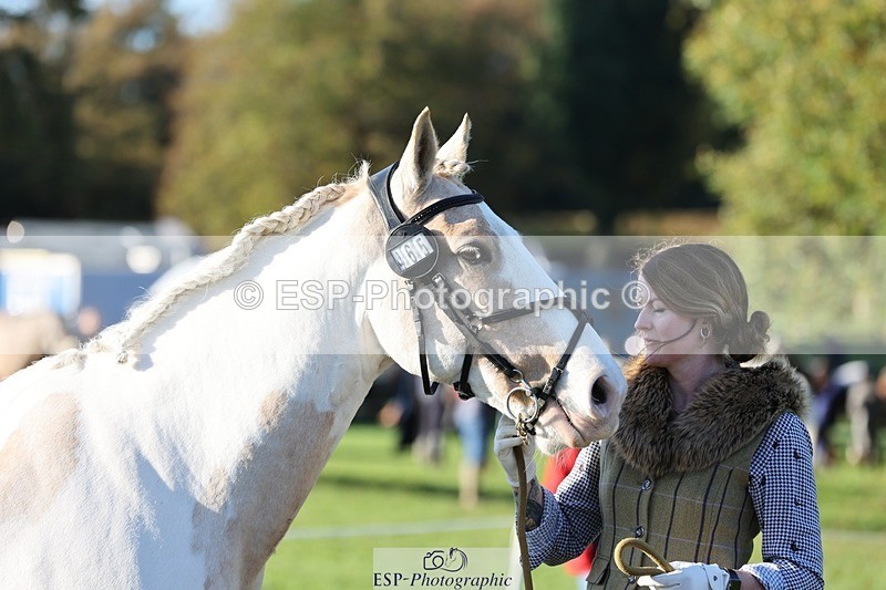 241027-091557-15168 - 465-Clare.Pascoe-MR.QUINN