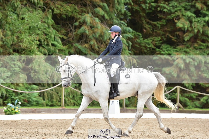 250719A-153614-06897 - 024-Neve.Moran-Clareville.Golden.Knight