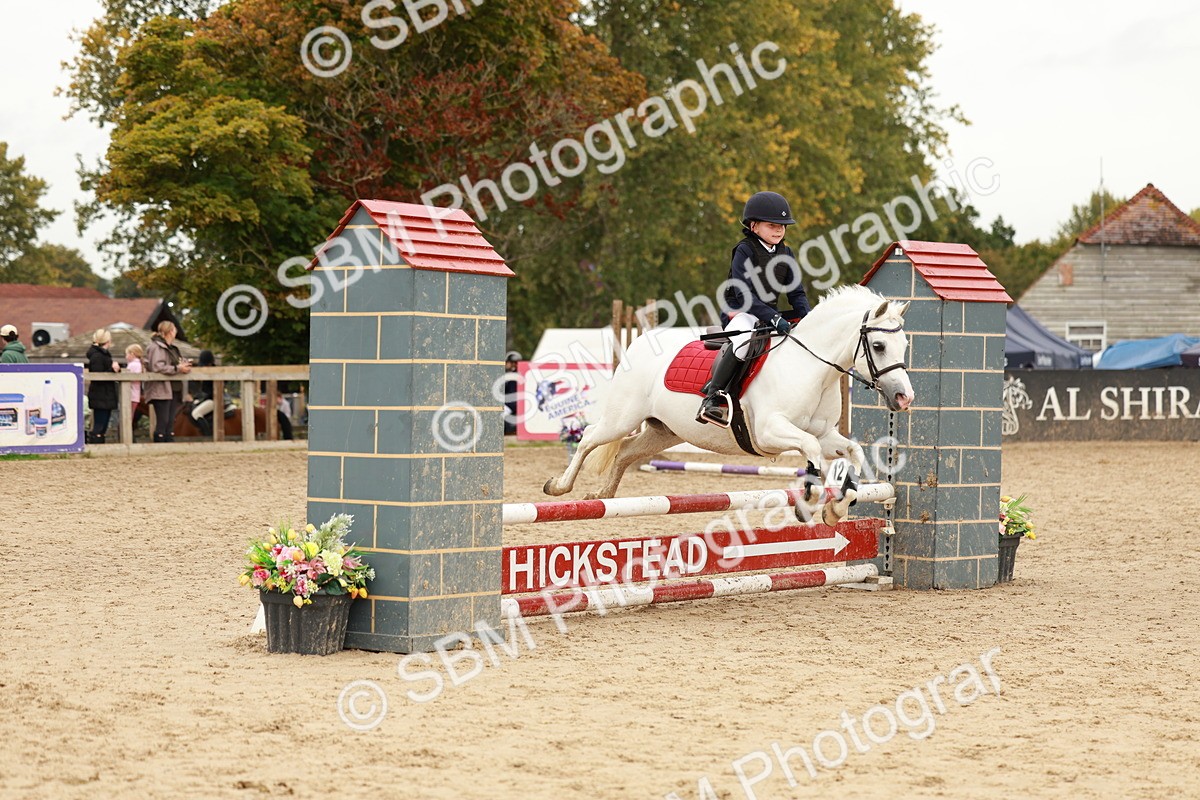 SBM_61800 - J12 - Junior Pony 55cm Championship