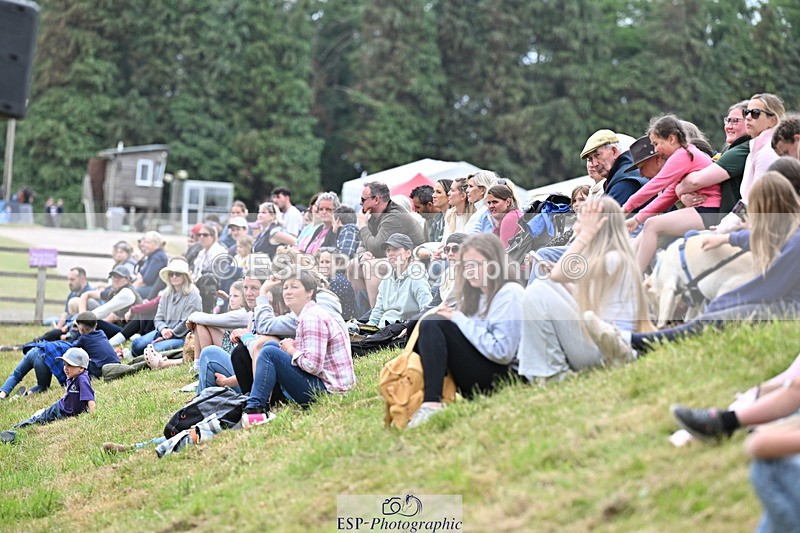 250524A-160935-13215 - Demo Arena Crowds