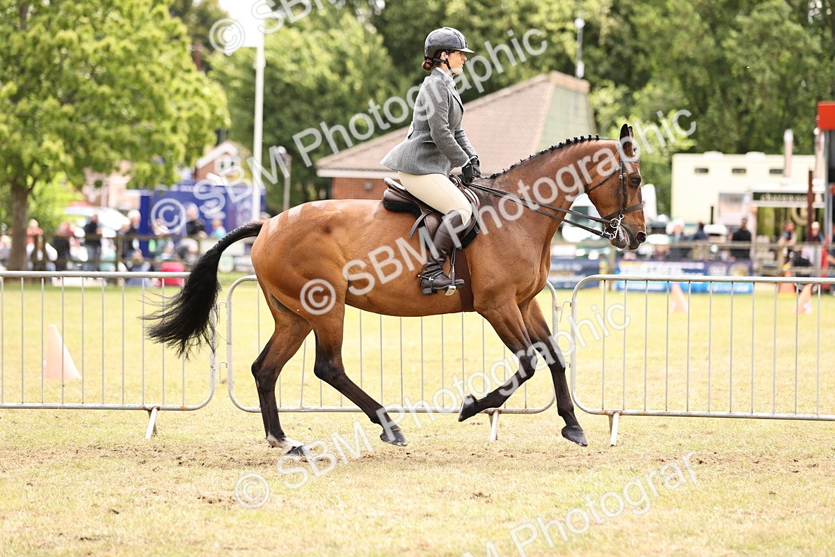 SBM_14670 - Class 88-89 - LIHS BSHA Rising Star of Ridden Hunter Type
