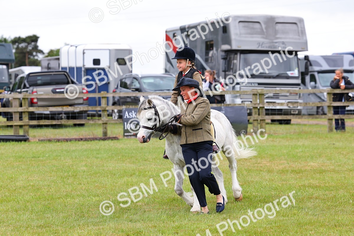 SBM_08204 - Class 42-43 - LIHS BSPS Heritage Working Sports Pony