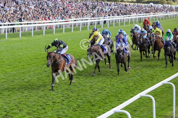 240824-Race 4-Magical Zoe-9135 - Race 4 3.35pm Sky Bet Ebor Handicap