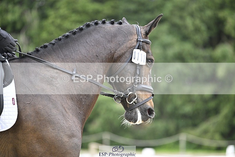 240523-173617-06404 - 113-MONANORE_GOLD-Jemima_Hughes