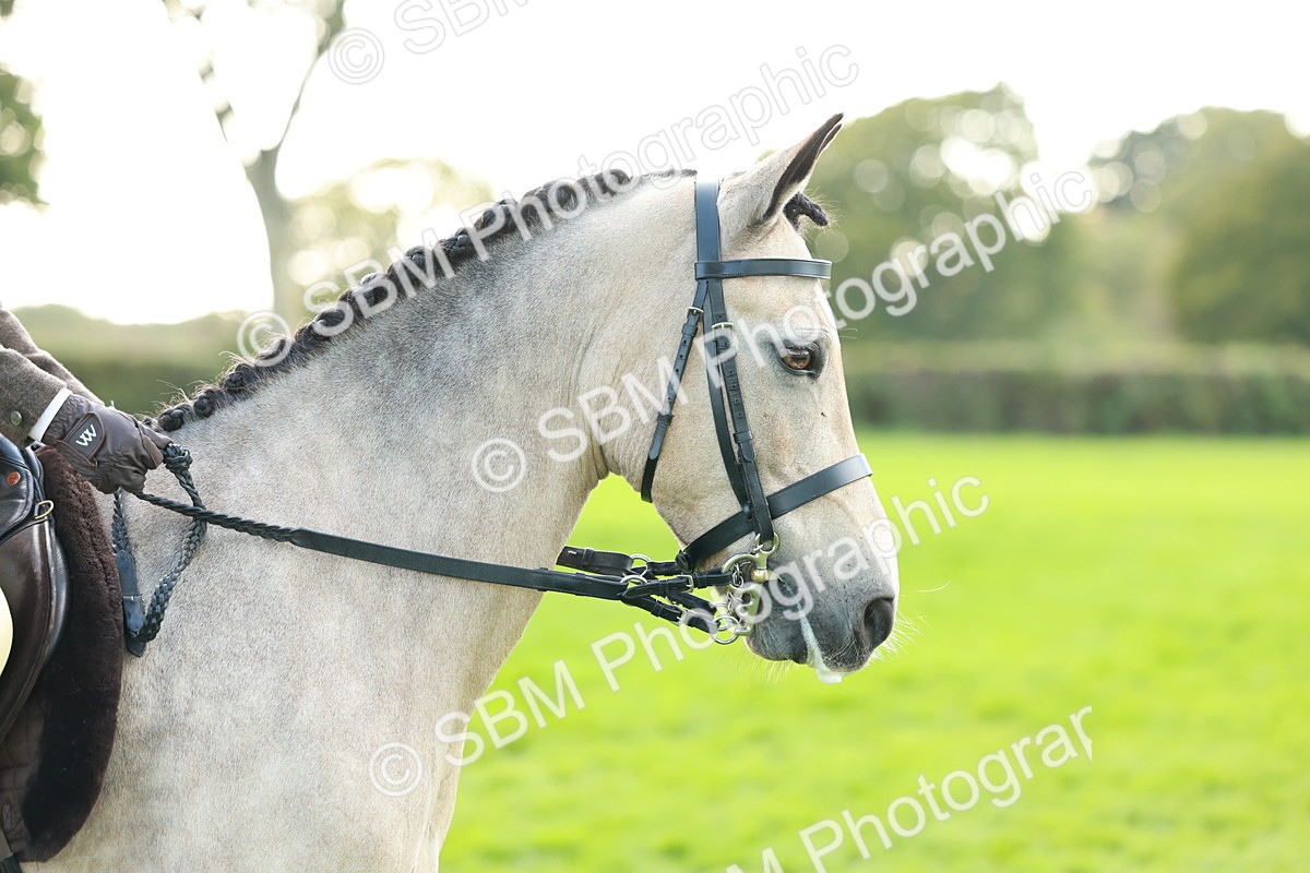 SBM_28833 - S7 - Novice & Newcomer Ridden Pony