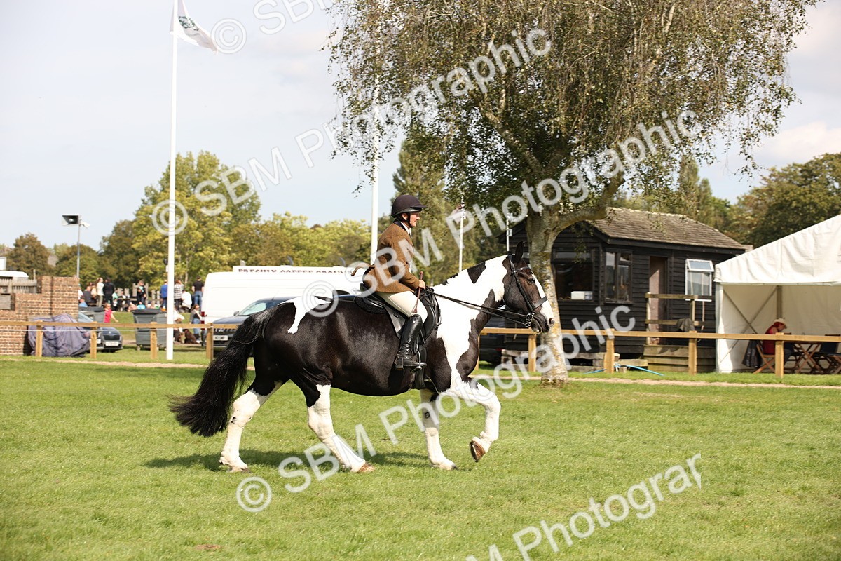 SBM_70128 - S65 - Piebald & Skewbald Horse Ridden