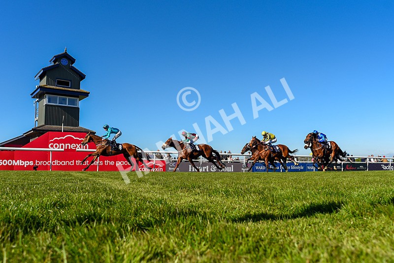 230426-Race 6-Tees George-1293 - Race 6