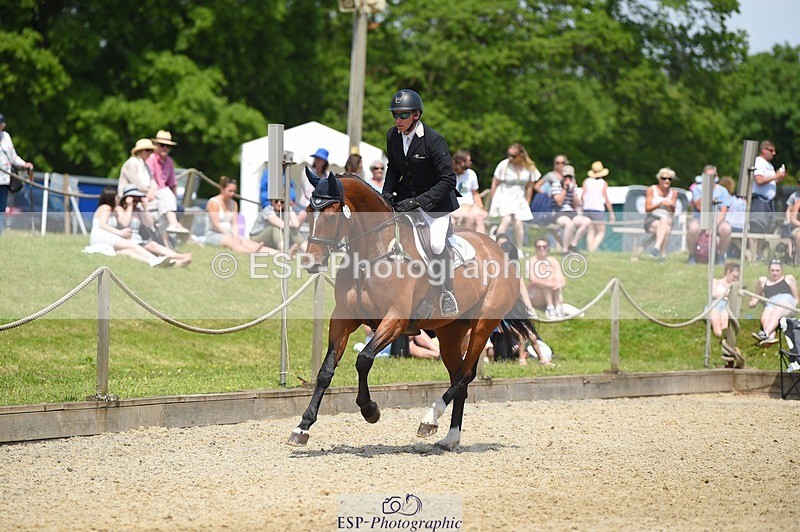 230528-121520-15608 - 312-J'ADORE_SALSA-Michael_Owen-SUNTrotUp+SJ