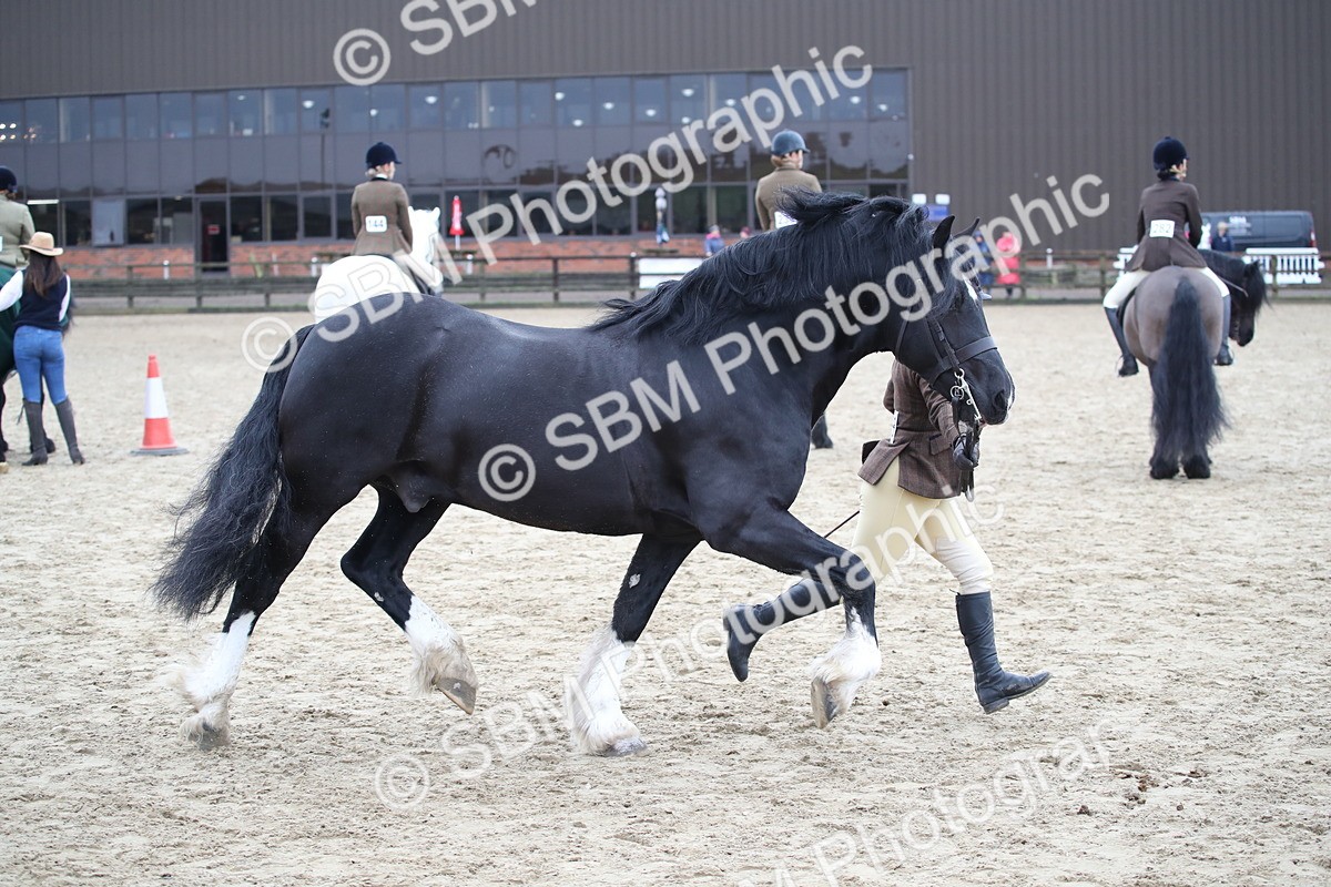 SBM_006395 - Class 10-13 - RIHS Small Large Breeds