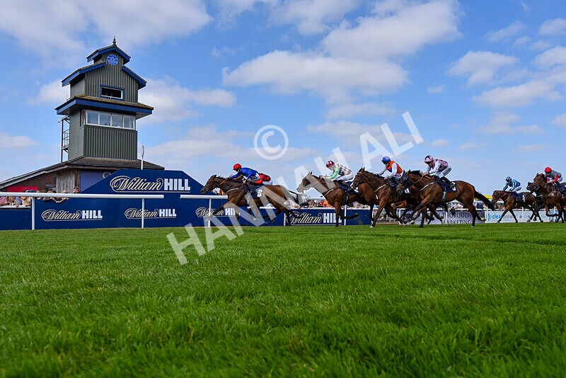 310824-Race 4-Spirit Of Applause-5998 - Race 4