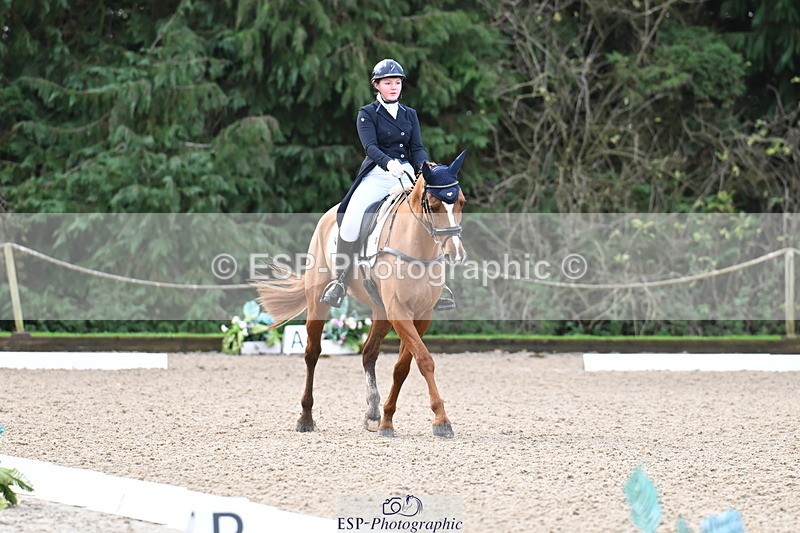 251023A-101618-01471 - B-128-Holly.Law