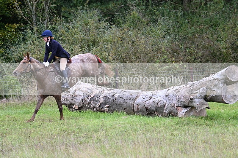 WJ7_3890 - Camera 1 Line 1