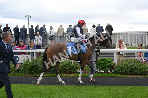 yr19082021r6-4 - Race 6 4.45pm British EBF & Sir Henry Cecil Galtres Stakes