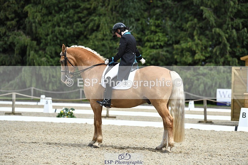 230812-142229-04682 - Cls 7 FEI PSG Bronze