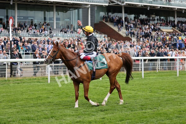 yr13052022r4-89 - Race 4 3.35pm The Paddy Power Yorkshire Cup (British Champions Series Race)