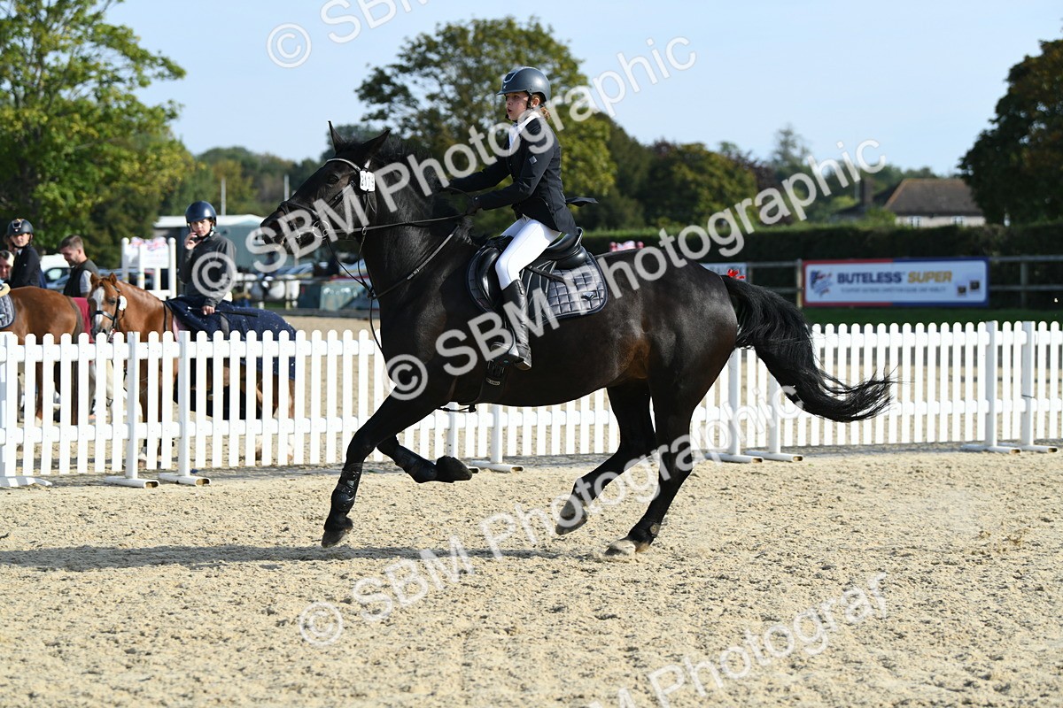 SBM_60535 - j25 - Junior Horse 80cm Championship