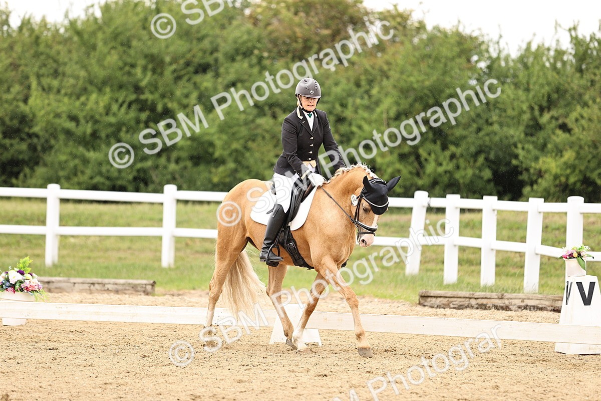 SBM_002103 - Class 2 - Novice 4 - 10.36-11.39
