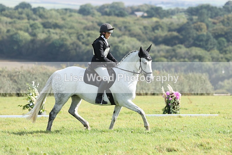 JPP_8088 - Class 2A: Trekenning Open: Dressage