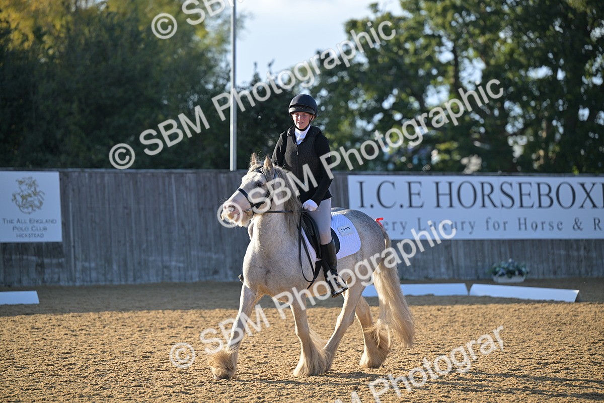 SBM_13148 - D3 - Small Tour Championship Intro 3