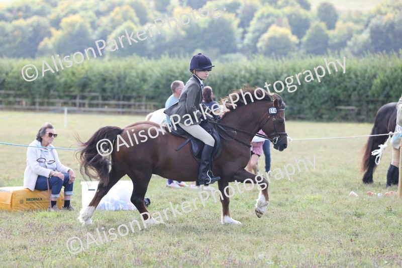 20250831-1252 - Class 15 - Ridden Veteran