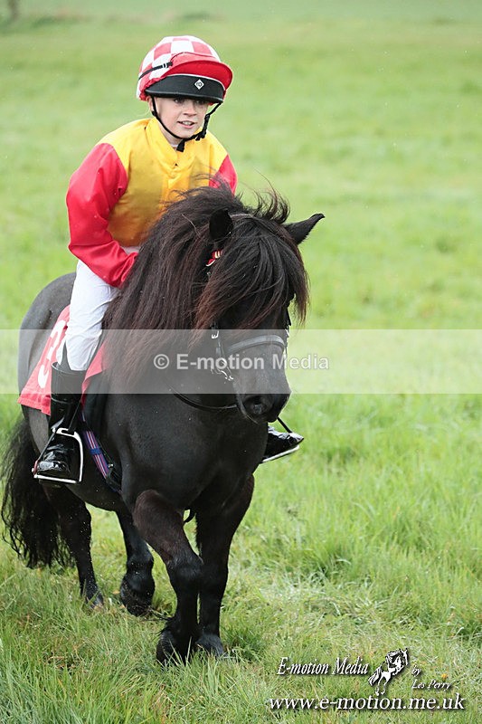 SHETPR 210425 146 - Shetland Ponies Paxford Races 21/04/25