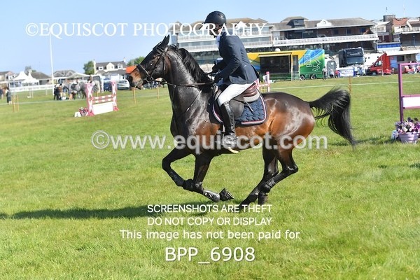 BPP_6908 - CLASS 1 Senior Newcomers/ 1.10m Open