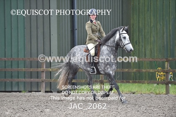 JAC_2062 - CLASS 1 Nursery Novice Working Hunter
