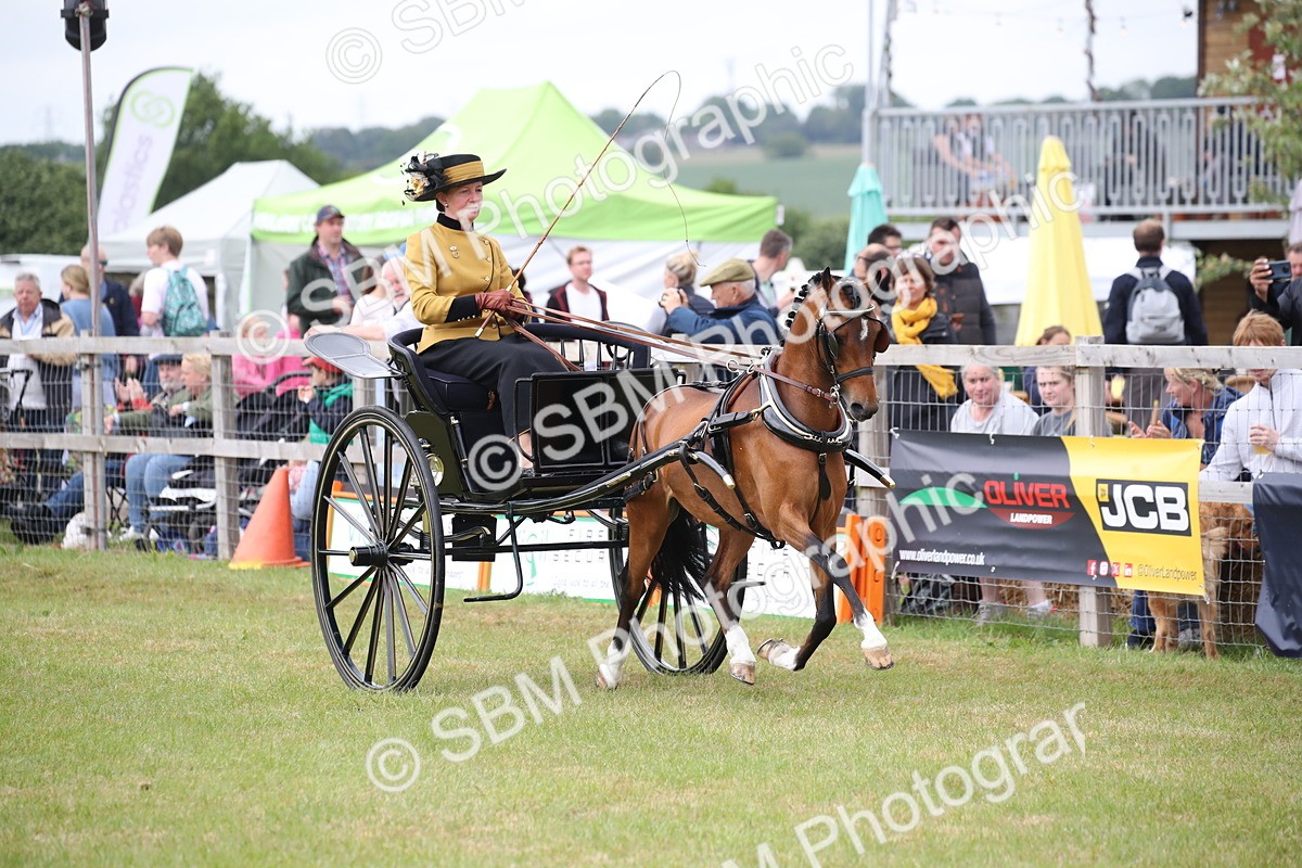 SBM_05878 - Class 12-15 - HOYS Private Driving