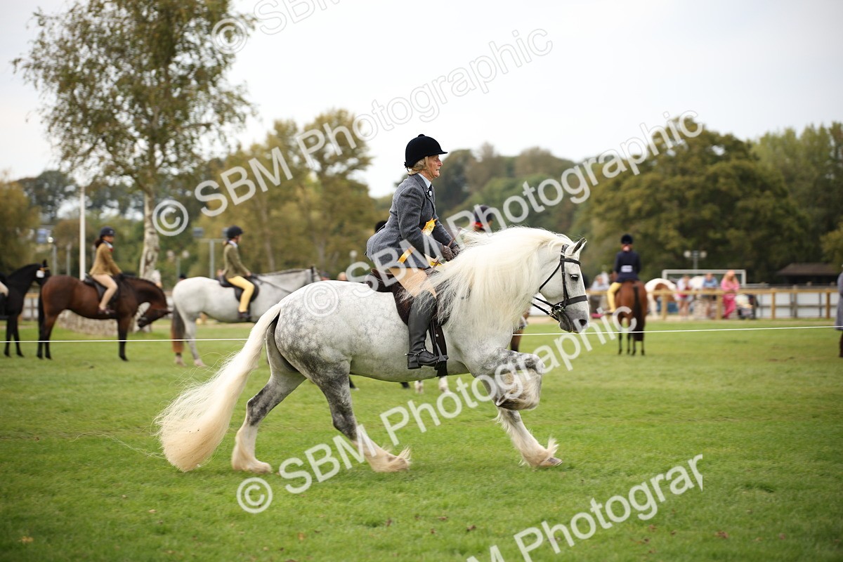 SBM_73596 - S68 - Traditional Cob Ridden