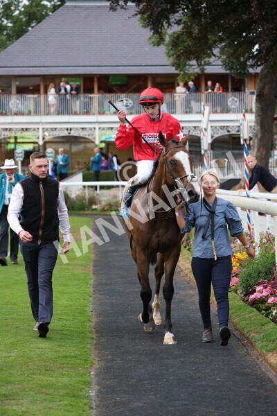 yr22072022r6-31 - Race 6 7.50pm Gallop Racing Stakes