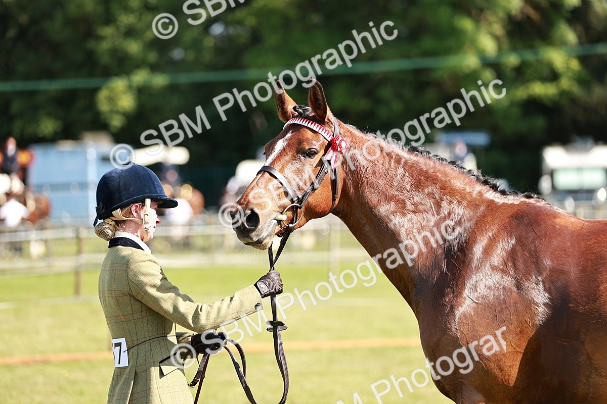SBM_18929 - Class 114 - RIHS & SEIB Open Working Show Horse