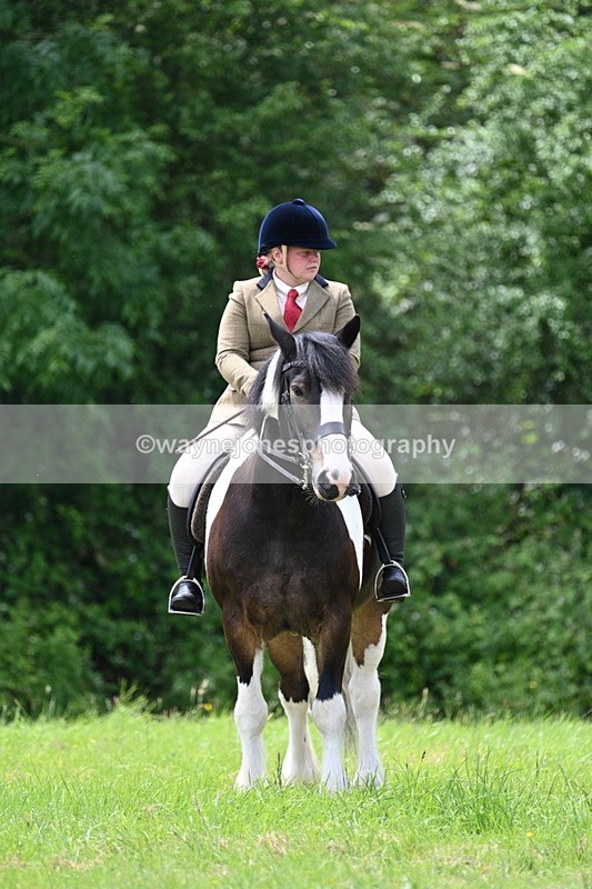 WJ7_2678 - Class 12A Coloured Class