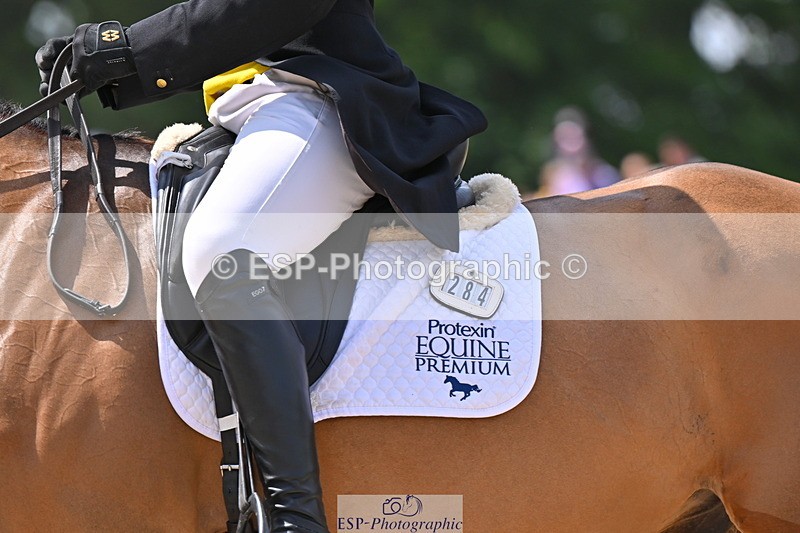 250523A-122835-06882 - C-284-Harry.Dzenis-KILBUNNY.MAXIMUS