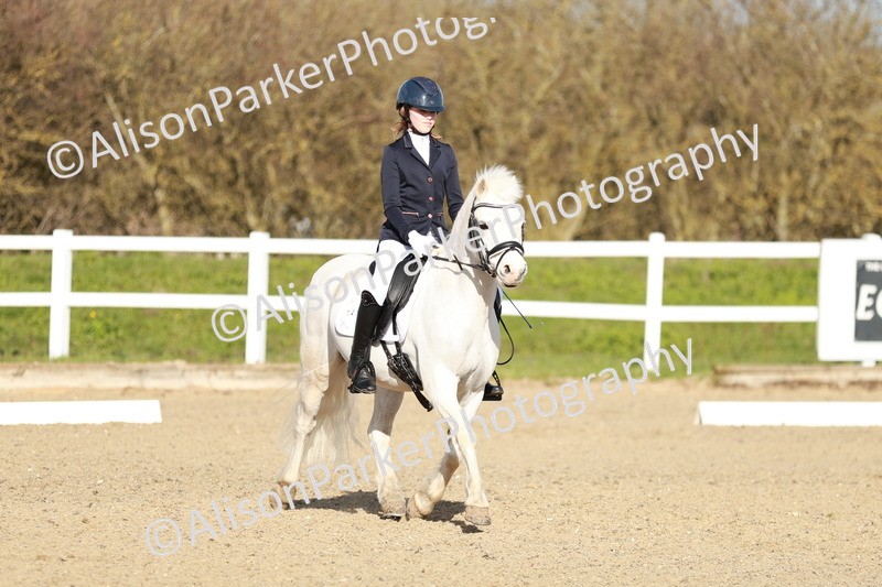 20260314-4507 - DR4 - Prelim 2