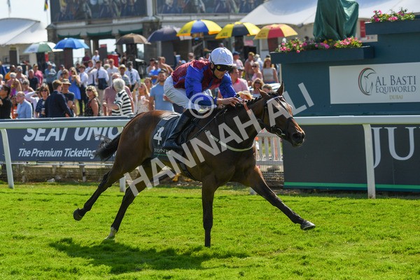 160623-Race 5-Harvanna-0598 - Race 5 4.10pm Juddmonte British EBF Fillies' Restricted Novice Stakes