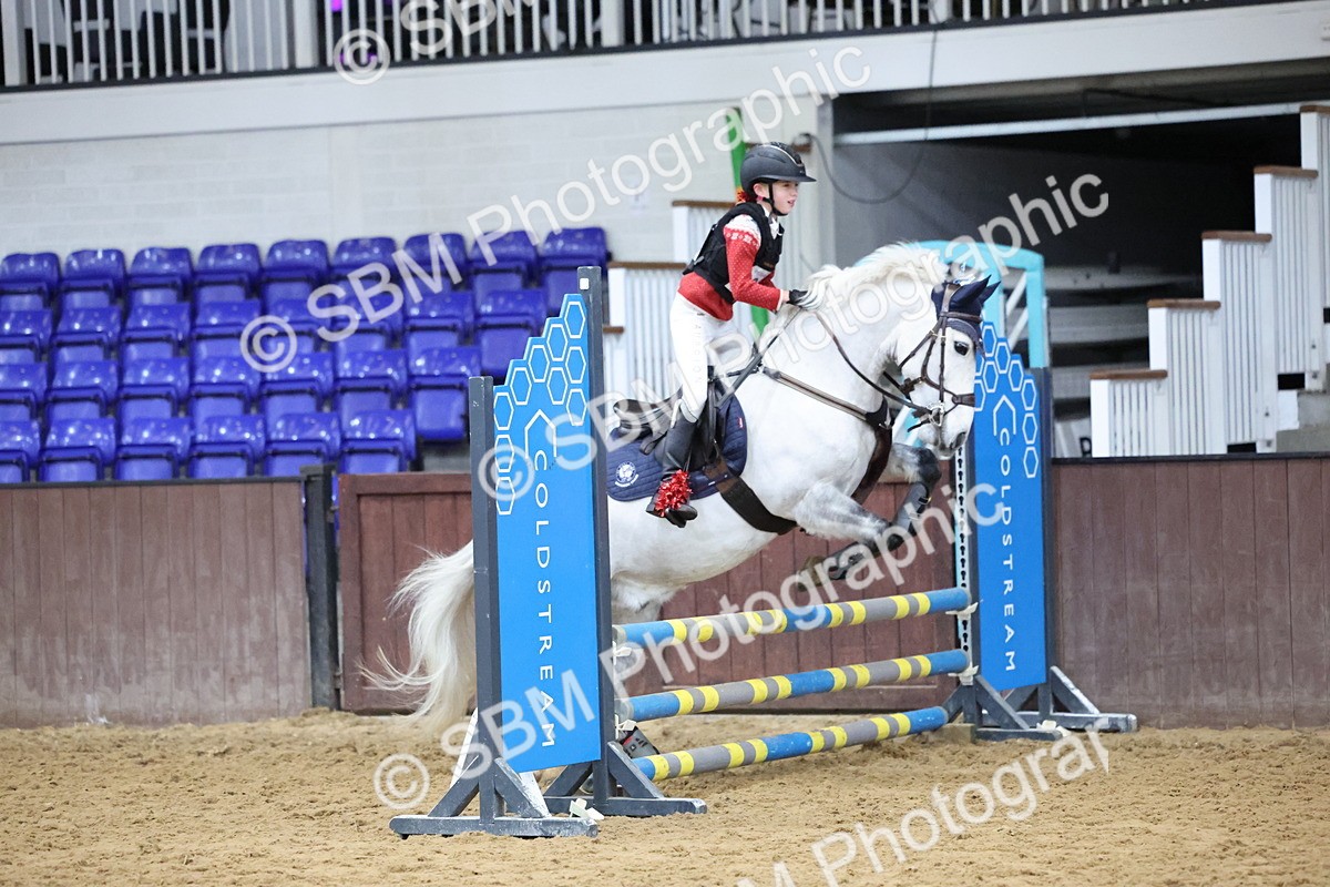 SBM_001202 - Class 3 - Christmas Tree Stakes - 60cm