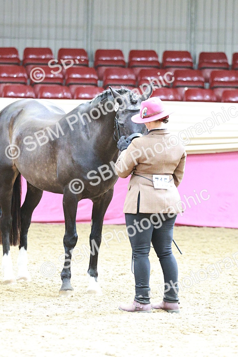 SBM_04855 - Class 7R - Regional IH Diamond