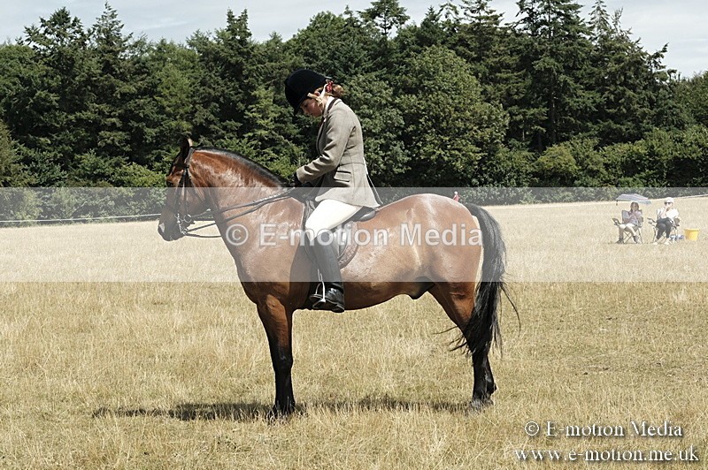 _PJP5986 - BVRC Show 2018 Ring 1