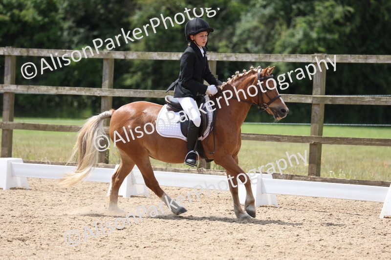 20250614-0615 - Class 5 - Novice 3